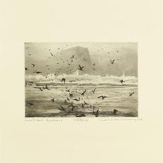 Murmuration mp3 Album by Erland Cooper, William Doyle