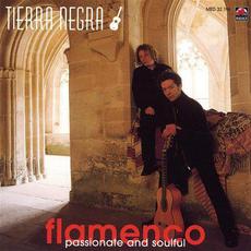 Flamenco: Passionate and Soulful mp3 Album by Tierra Negra