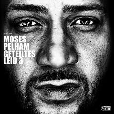 Geteiltes Leid 3 mp3 Album by Moses Pelham