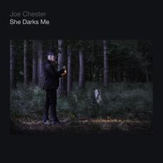 She Darks Me (Re-Issue) mp3 Album by Joe Chester
