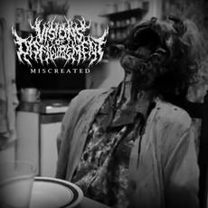 Miscreated mp3 Album by Visions of Disfigurement