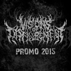 Promo 2015 mp3 Album by Visions of Disfigurement