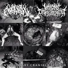 Involuntary Cranial Excision mp3 Compilation by Various Artists