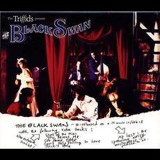 The Black Swan (Remastered) mp3 Album by The Triffids