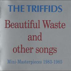 Beautiful Waste and Other Songs mp3 Compilation by Various Artists