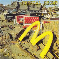 Not So Tough Now mp3 Album by Frenzal Rhomb