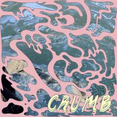 Crumb mp3 Album by Crumb