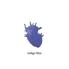Indigo Blue mp3 Single by Sean Christopher