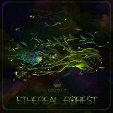 Ethereal Forest mp3 Compilation by Various Artists