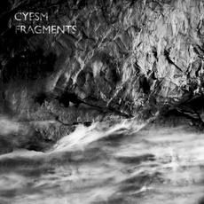 Fragments mp3 Album by Cyesm