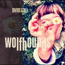 Divide & Fall mp3 Single by The Wolfhounds
