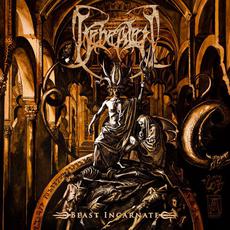Beast Incarnate mp3 Album by Beheaded