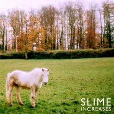 Increases mp3 Album by Slime (2)