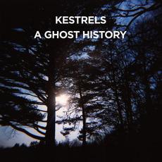A Ghost History mp3 Album by Kestrels