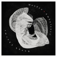 Rough Charms mp3 Album by Wooden Ambulance