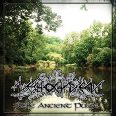 The Ancient Pulse mp3 Artist Compilation by Nechochwen