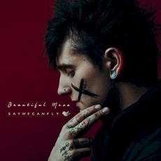 Beautiful Mess mp3 Album by SayWeCanFly