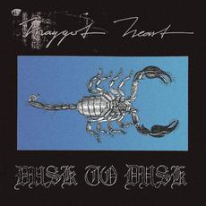 Dusk to Dusk mp3 Album by Maggot Heart
