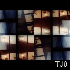 The Joy Of mp3 Album by Tara Jane O'Neil
