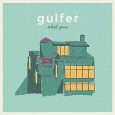 What Gives mp3 Album by Gulfer
