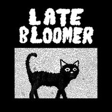 Late Bloomer mp3 Album by Late Bloomer