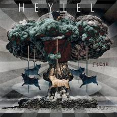 Flesh mp3 Album by Heylel