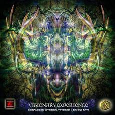 Visionary Experience mp3 Compilation by Various Artists