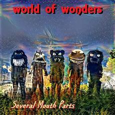 World Of Wonders mp3 Album by Several Mouth Parts