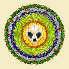 Turtle Skull mp3 Album by Turtle Skull