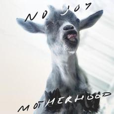 Motherhood mp3 Album by No Joy
