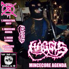 Mincecore Agenda mp3 Album by Haggus