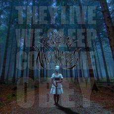 We Sleep mp3 Album by In the Kingdom of Nightmares