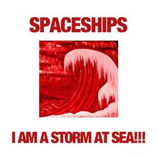 I Am A Storm At Sea!!! mp3 Album by Spaceships