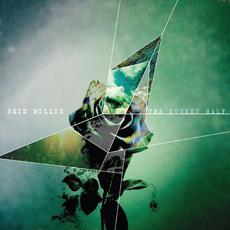 The Sunken Half mp3 Album by Reid Willis