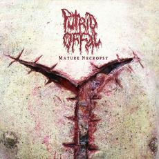 Mature Necropsy mp3 Album by Putrid Offal