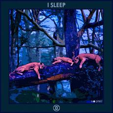 I Sleep mp3 Single by No Spirit