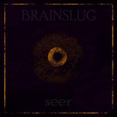 Seer mp3 Album by Brainslug