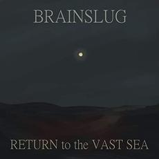 Return To The Vast Sea mp3 Album by Brainslug