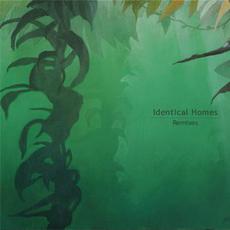 Remixes mp3 Remix by Identical Homes
