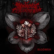 Blodørn mp3 Album by Sadistic Embodiment