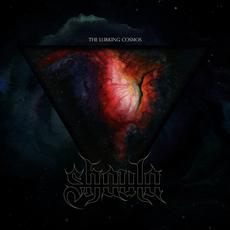 The Lurking Cosmos mp3 Album by Shaula (2)