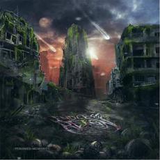 Perished Memories mp3 Album by Endless Reign