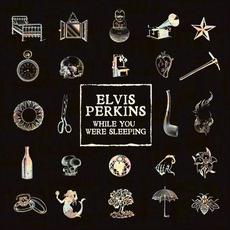 While You Were Sleeping mp3 Album by Elvis Perkins