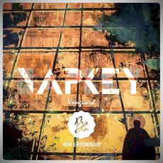Vanguard mp3 Single by Napkey