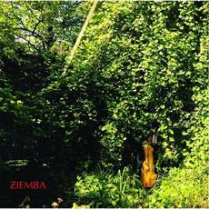 Hope Is Never mp3 Album by Ziemba