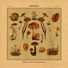 Fungus mp3 Album by Made in M & walterwarm