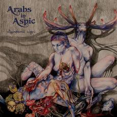 Syndenes magi mp3 Album by Arabs in Aspic