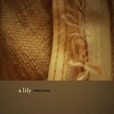 Wake:Sleep mp3 Album by A Lily