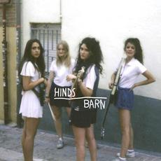 BARN mp3 Single by Hinds