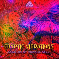 Cryptic Vibrations mp3 Compilation by Various Artists